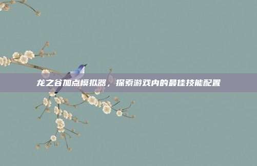 龙之谷加点模拟器,探索游戏内的最佳技能配置