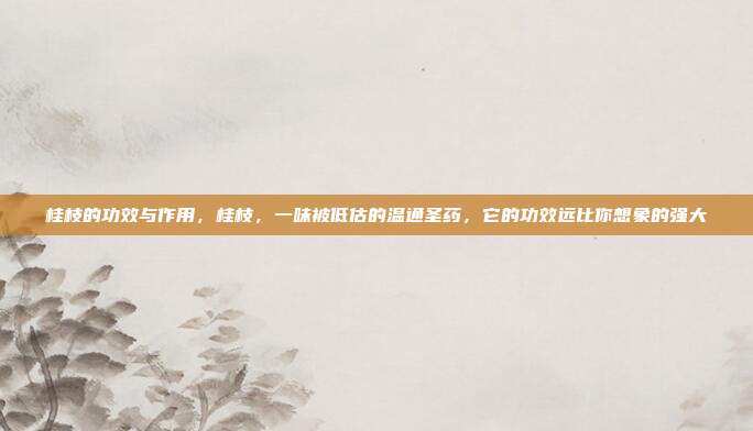 桂枝的功效与作用，桂枝，一味被低估的温通圣药，它的功效远比你想象的强大