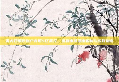 美夫妇银行账户突现5亿美元,金融事件深度解析与应对指南