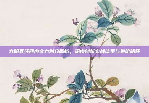 九阴真经四内实力划分解析,深度剖析实战体系与进阶路径