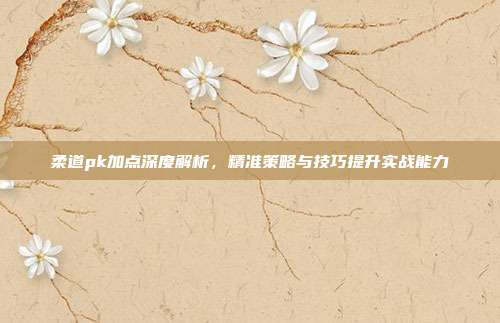 柔道pk加点深度解析,精准策略与技巧提升实战能力