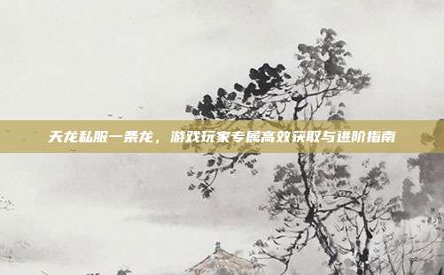 天龙私服一条龙，游戏玩家专属高效获取与进阶指南