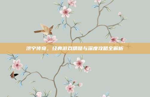 济宁传奇,经典游戏精髓与深度攻略全解析