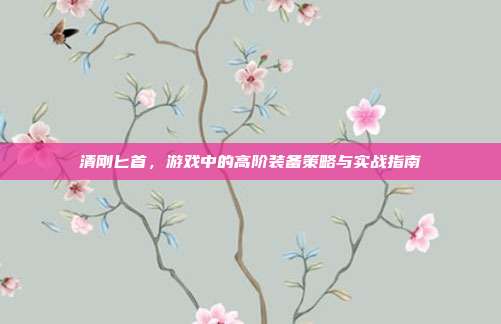 清刚匕首,游戏中的高阶装备策略与实战指南