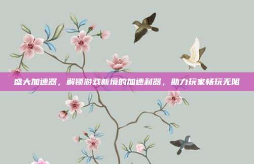 盛大加速器,解锁游戏新境的加速利器,助力玩家畅玩无阻