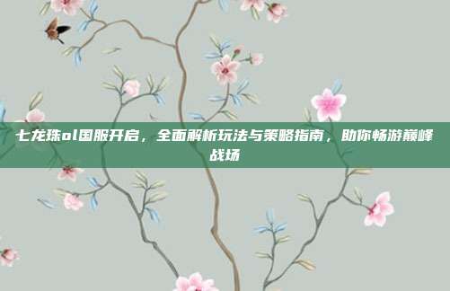 七龙珠ol国服开启,全面解析玩法与策略指南,助你畅游巅峰战场