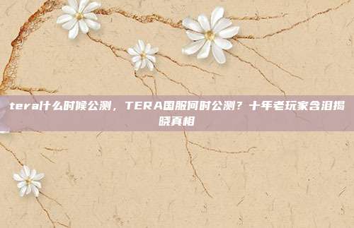 tera什么时候公测，TERA国服何时公测？十年老玩家含泪揭晓真相