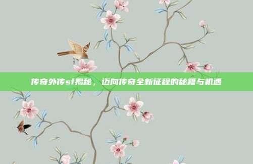 传奇外传sf揭秘,迈向传奇全新征程的秘籍与机遇