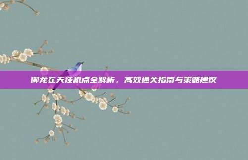 御龙在天挂机点全解析,高效通关指南与策略建议