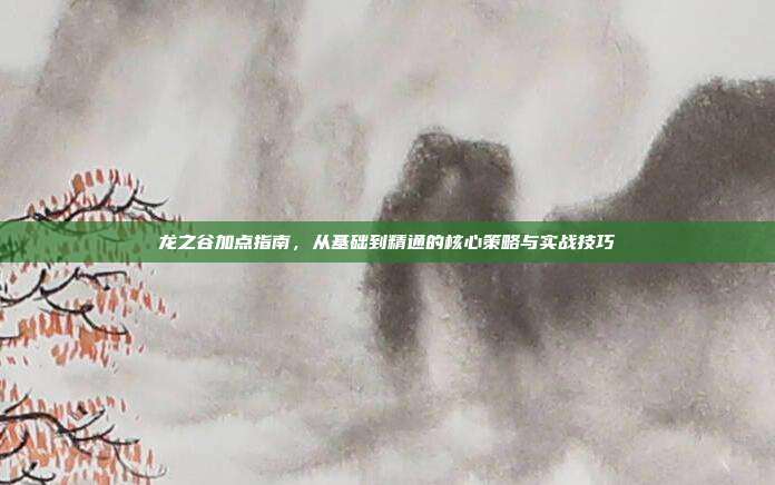 龙之谷加点指南,从基础到精通的核心策略与实战技巧