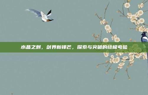 水晶之刺，剑界新锋芒，探索与突破的终极考验