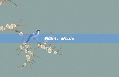 关键词，多玩dn