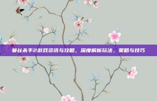 曼谷杀手2游戏资讯与攻略,深度解析玩法、策略与技巧