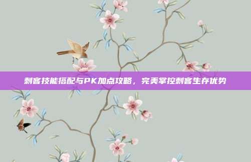 刺客技能搭配与PK加点攻略，完美掌控刺客生存优势