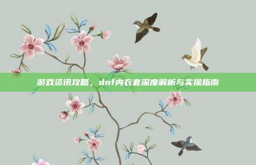 游戏资讯攻略,dnf内衣套深度解析与实操指南
