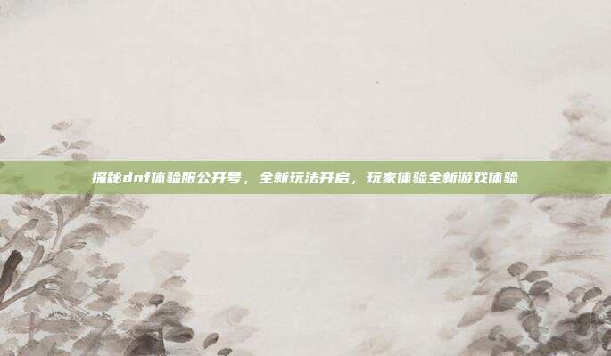 探秘dnf体验服公开号,全新玩法开启,玩家体验全新游戏体验