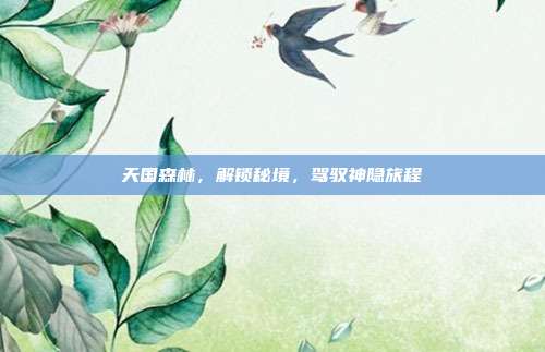 天国森林，解锁秘境，驾驭神隐旅程