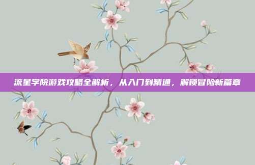 流星学院游戏攻略全解析,从入门到精通,解锁冒险新篇章