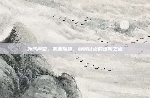 外域声望,策略深耕,巅峰征途的进阶之道