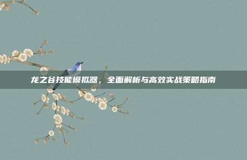 龙之谷技能模拟器,全面解析与高效实战策略指南