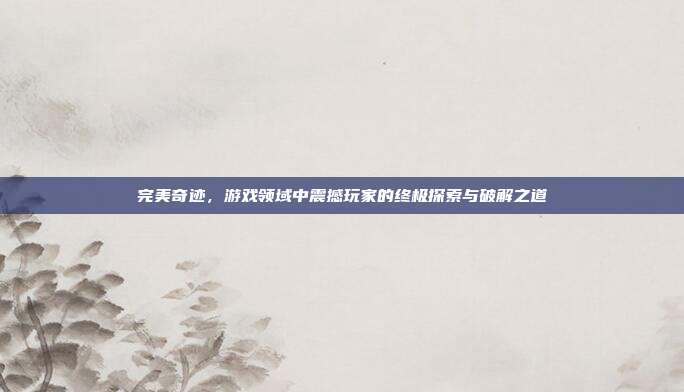 完美奇迹,游戏领域中震撼玩家的终极探索与破解之道