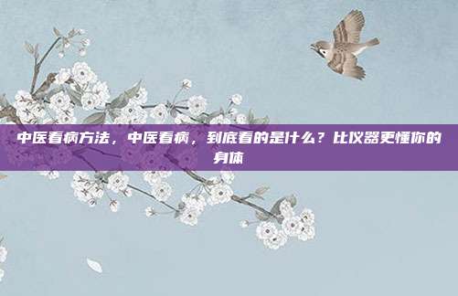 中医看病方法，中医看病，到底看的是什么？比仪器更懂你的身体