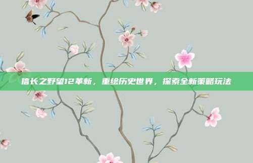 信长之野望12革新,重绘历史世界,探索全新策略玩法