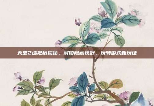 天堂2透视镜揭秘,解锁隐藏视野,玩转游戏新玩法