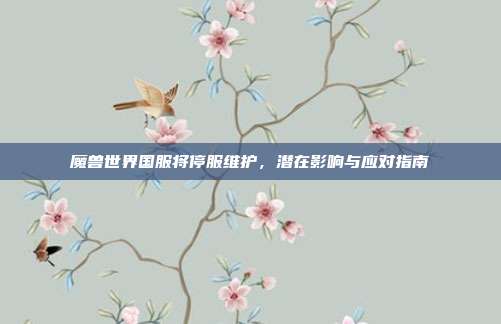 魔兽世界国服将停服维护,潜在影响与应对指南