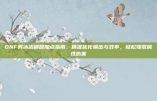 DNF男冰洁刷图加点指南,精准优化输出与效率,轻松驾驭属性伤害