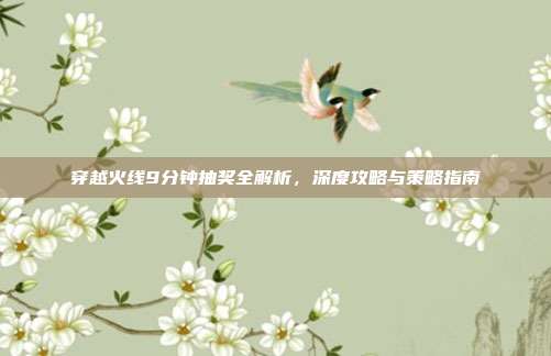 穿越火线9分钟抽奖全解析,深度攻略与策略指南