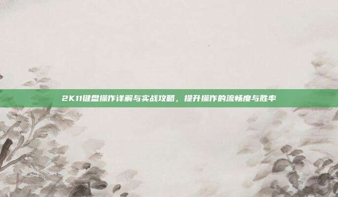 2K11键盘操作详解与实战攻略,提升操作的流畅度与胜率