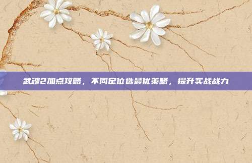 武魂2加点攻略,不同定位选最优策略,提升实战战力