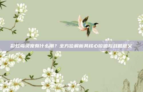 彩虹岛灵宠有什么用?全方位解析其核心价值与战略意义