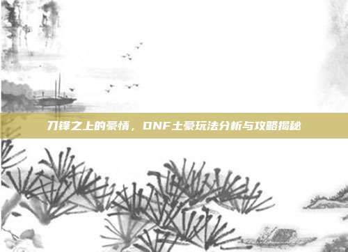 刀锋之上的豪情，DNF土豪玩法分析与攻略揭秘