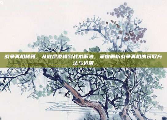 战争真相秘籍,从底层逻辑到战术解法,深度解析战争真相的获取方法与运用