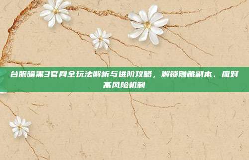 台服暗黑3官网全玩法解析与进阶攻略,解锁隐藏副本、应对高风险机制