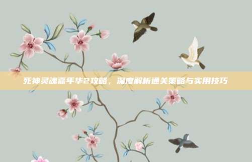 死神灵魂嘉年华2攻略,深度解析通关策略与实用技巧