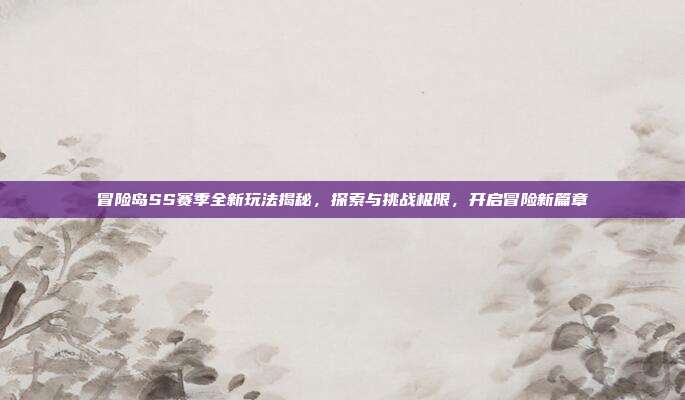 冒险岛SS赛季全新玩法揭秘,探索与挑战极限,开启冒险新篇章
