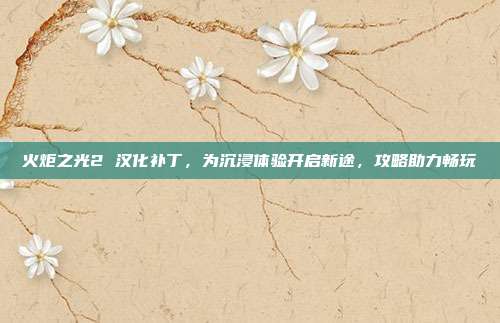 火炬之光2 汉化补丁,为沉浸体验开启新途,攻略助力畅玩