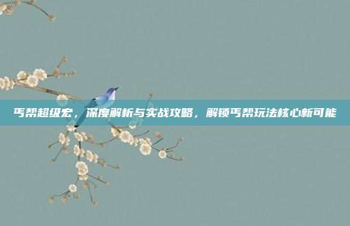 丐帮超级宏，深度解析与实战攻略，解锁丐帮玩法核心新可能