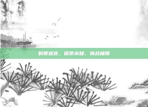 时渡迷宫,探索未知,挑战极限
