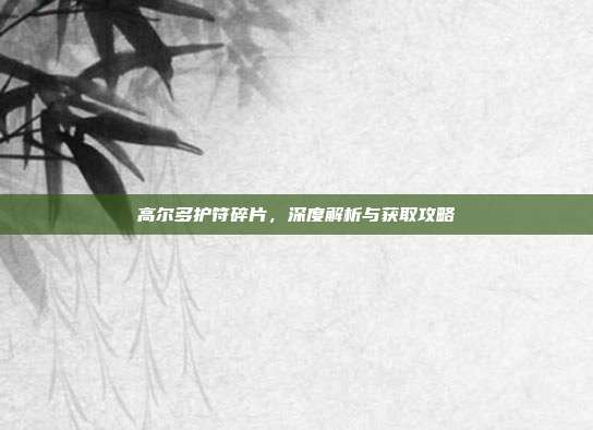 高尔多护符碎片,深度解析与获取攻略