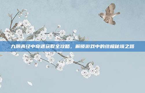 九阴真经中奇遇获取全攻略，解锁游戏中的终极秘境之路
