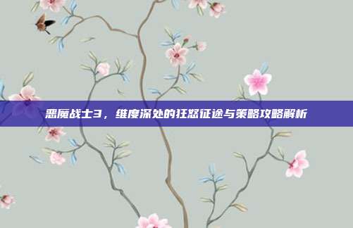 恶魔战士3,维度深处的狂怒征途与策略攻略解析