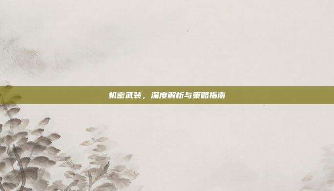 机密武装,深度解析与策略指南