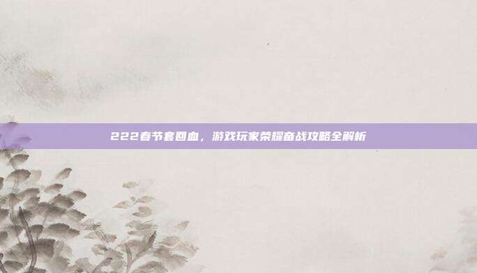 222春节套回血,游戏玩家荣耀奋战攻略全解析