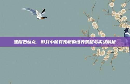 黑曜石幼龙,游戏中稀有宠物的培养策略与实战解析
