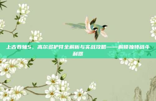 上古卷轴5,高尔多护符全解析与实战攻略——解锁独特战斗利器
