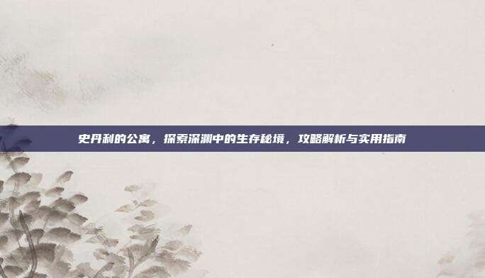 史丹利的公寓，探索深渊中的生存秘境，攻略解析与实用指南